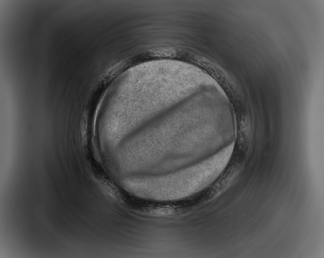 X0000086760600200705111716
