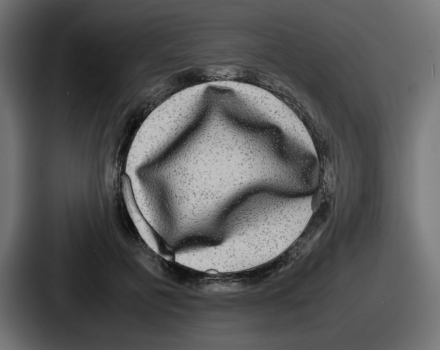 X0000086760601200705111716