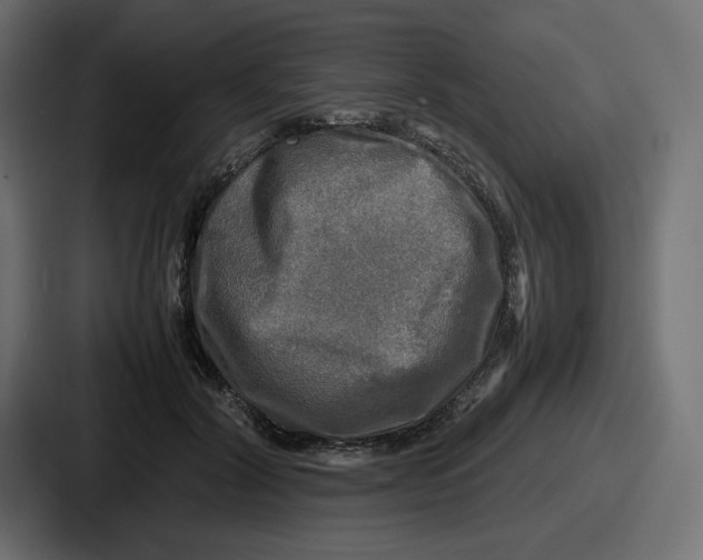 X0000086760604200705111716