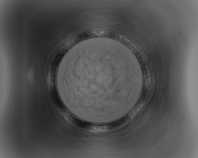 X0000086760606200705111716