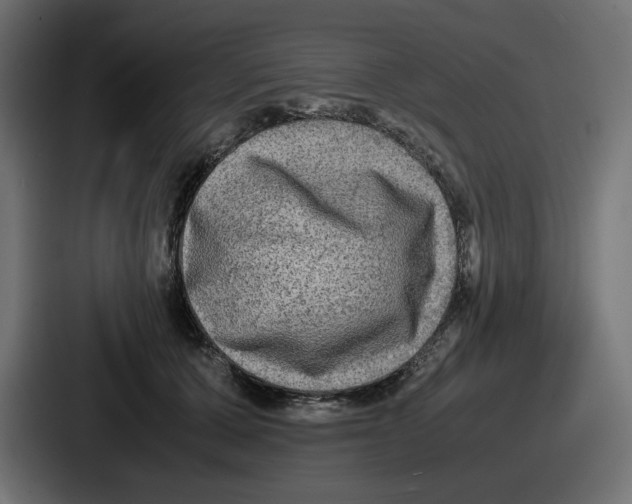 X0000086760607200705111716
