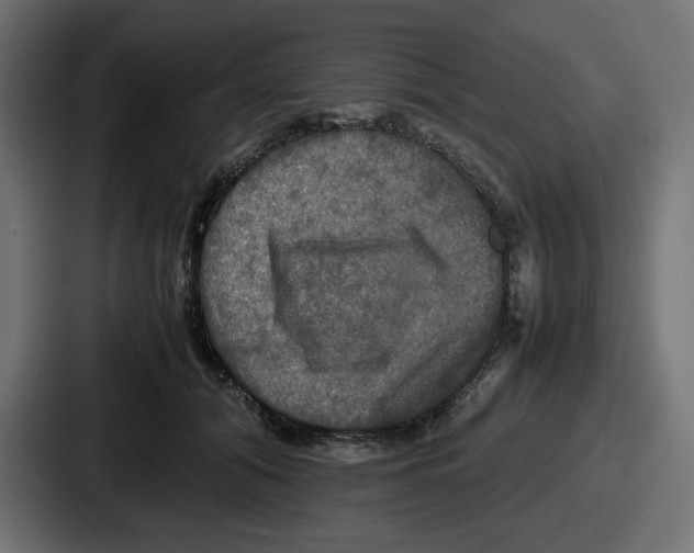 X0000086760608200705111716