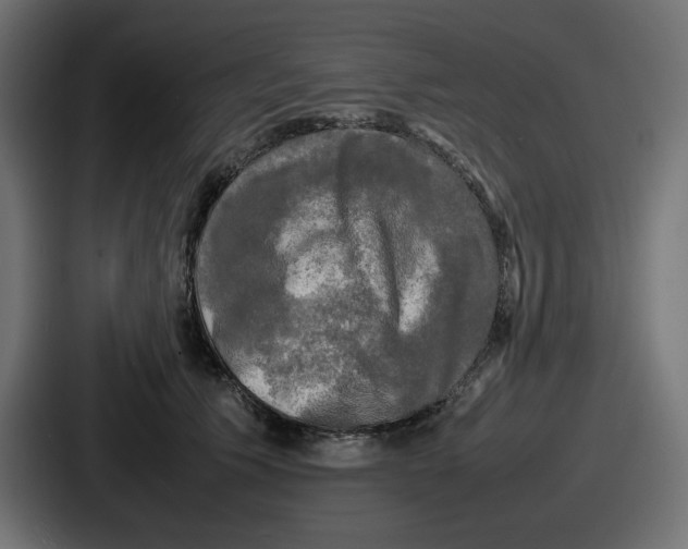 X0000086760609200705111716