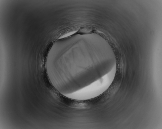 X0000086760610200705111716