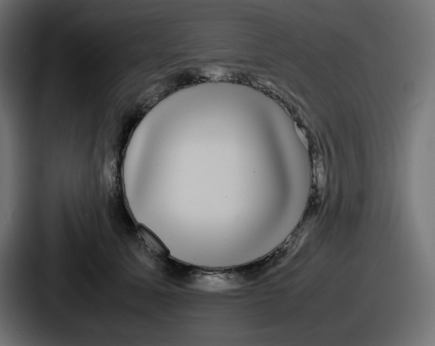 X0000086760611200705111716