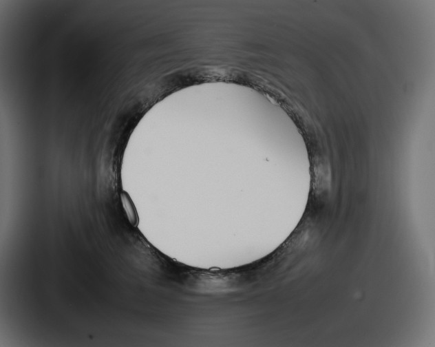 X0000086760613200705111716