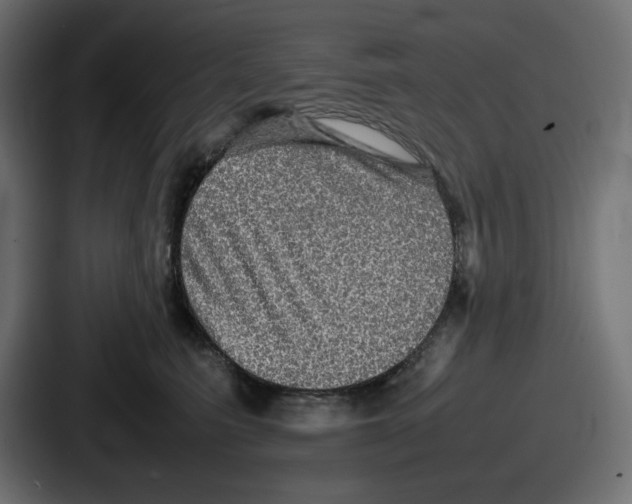 X0000086760615200705111716