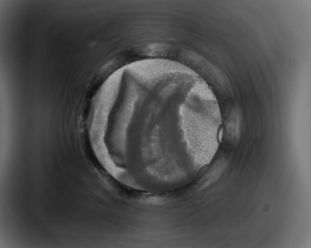 X0000086760620200705111716