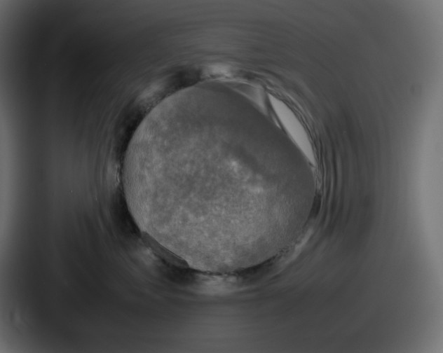 X0000086760621200705111716