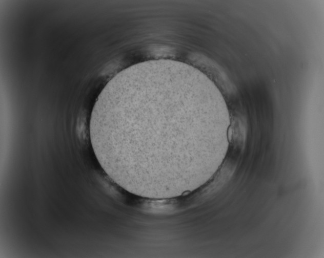 X0000086760622200705111716