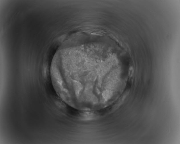 X0000086760623200705111716