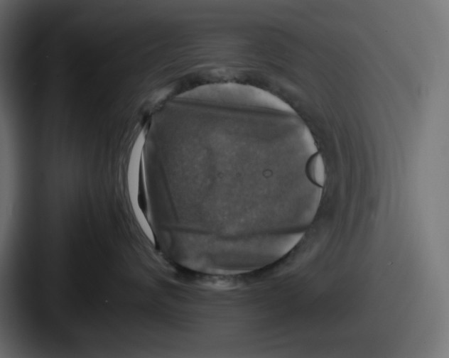 X0000086760624200705111716