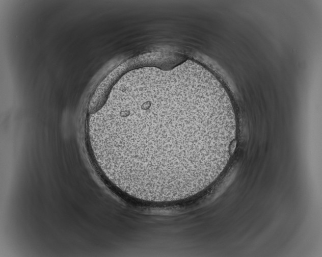 X0000086760625200705111715
