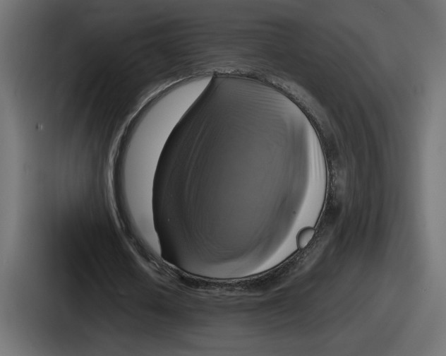 X0000086760626200705111715