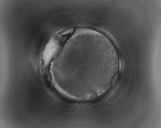 X0000086760627200705111715