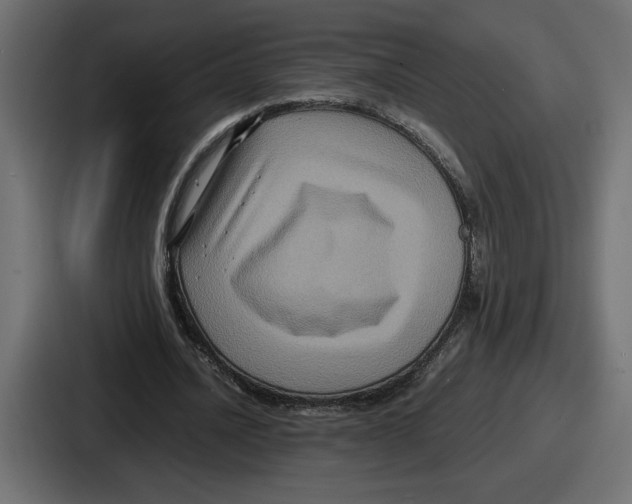 X0000086760628200705111715