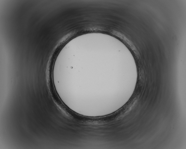 X0000086760629200705111715