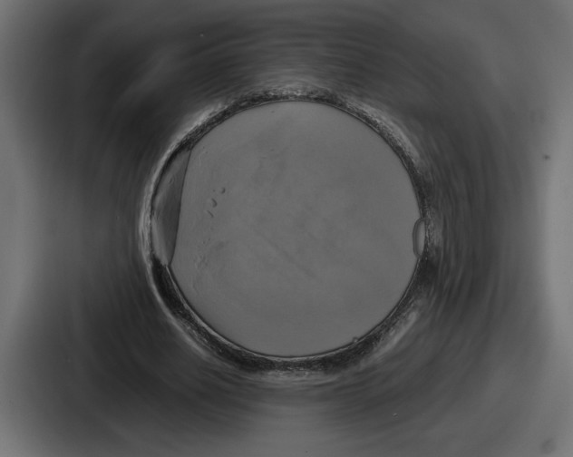 X0000086760630200705111715