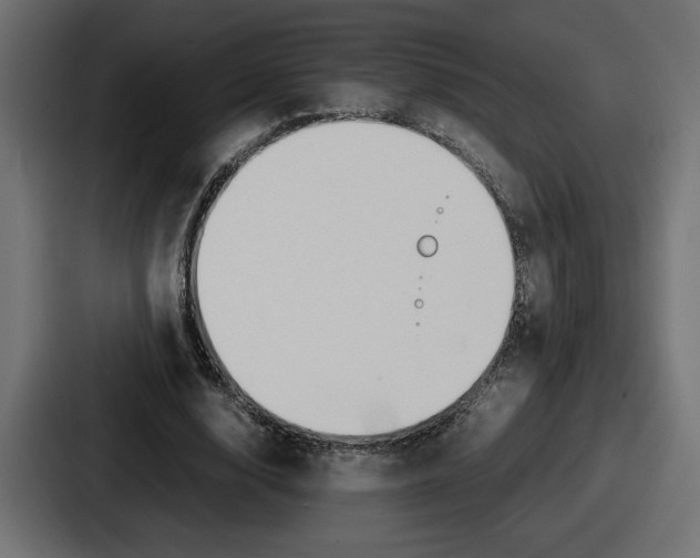 X0000086760632200705111716