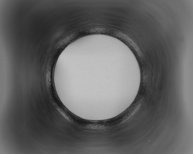 X0000086760633200705111716