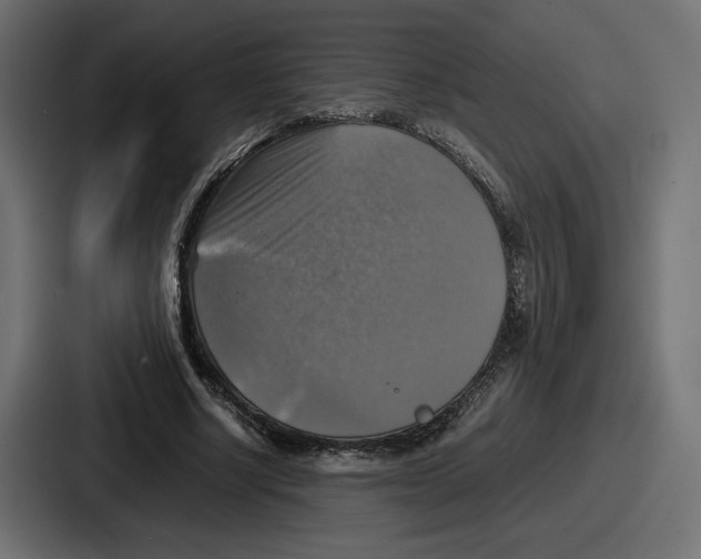 X0000086760634200705111716