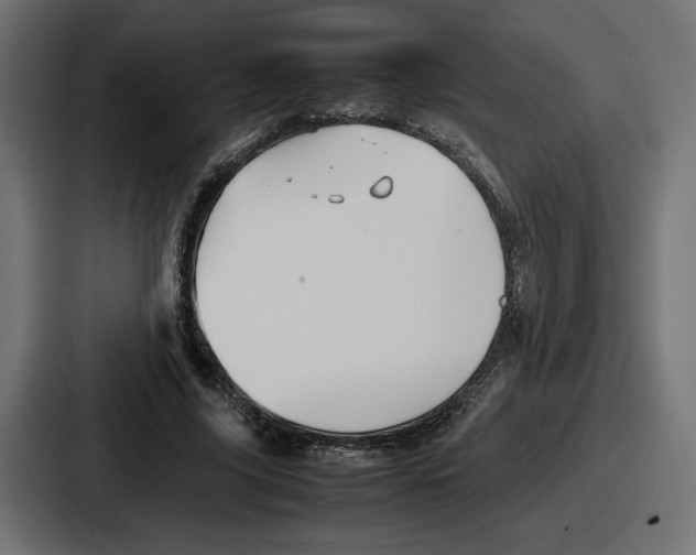 X0000086760635200705111716
