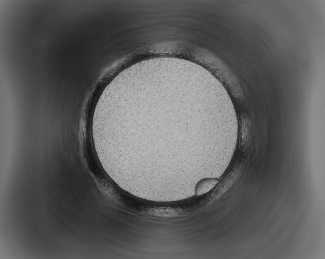 X0000086760636200705111716