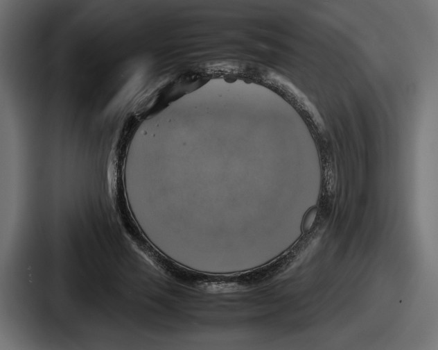 X0000086760637200705111716