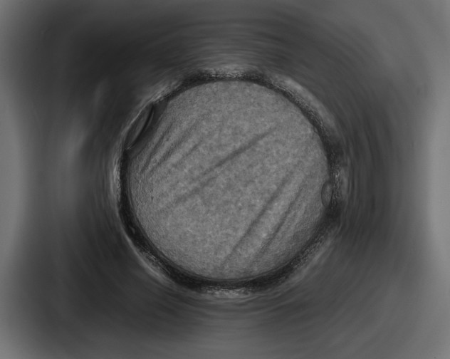 X0000086760638200705111716