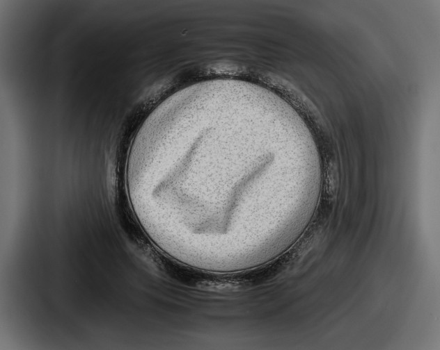 X0000086760639200705111716