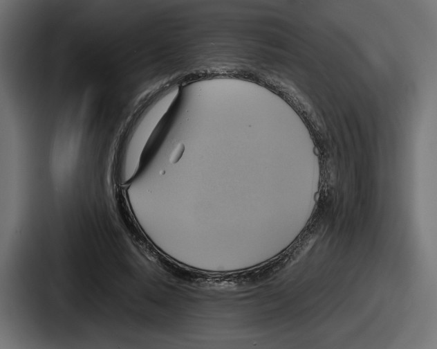 X0000086760640200705111716