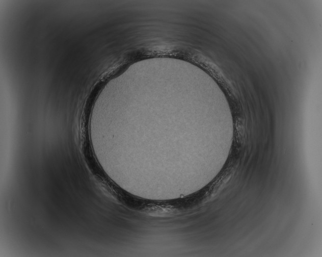 X0000086760642200705111716