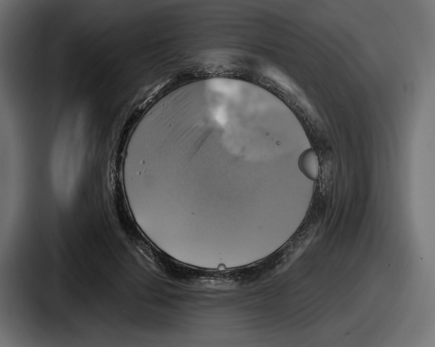 X0000086760644200705111716