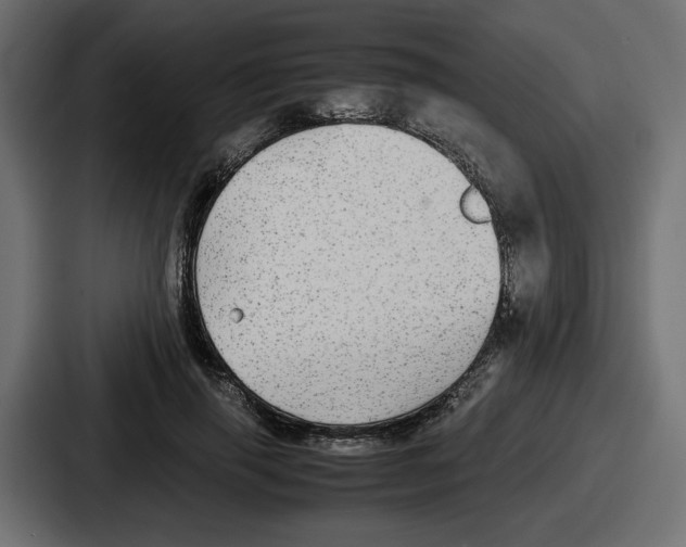 X0000086760645200705111716