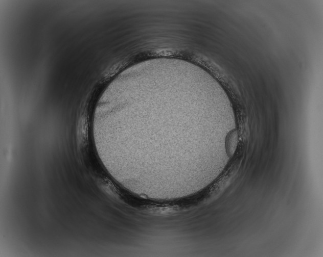 X0000086760646200705111716