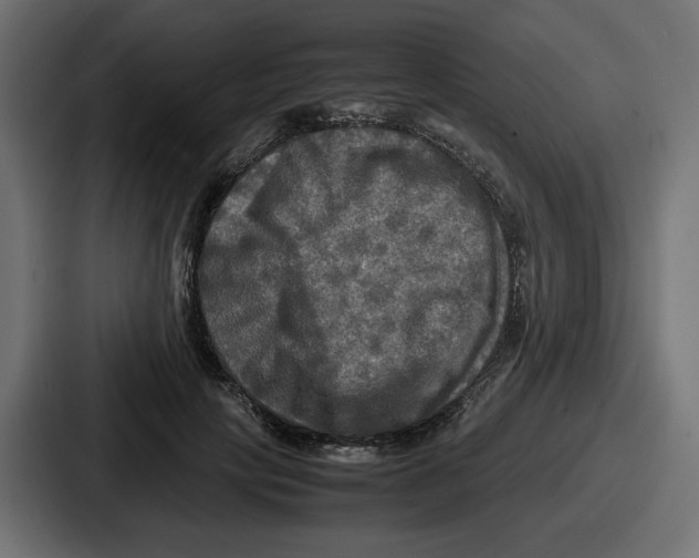 X0000086760649200705111716