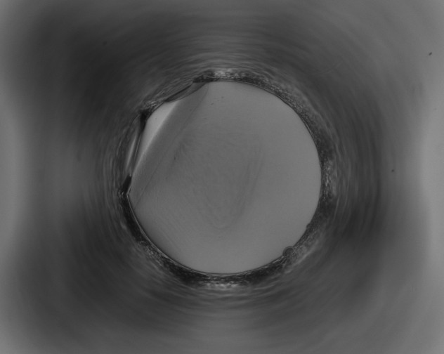 X0000086760650200705111716