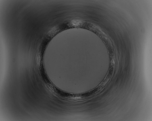 X0000086760651200705111716