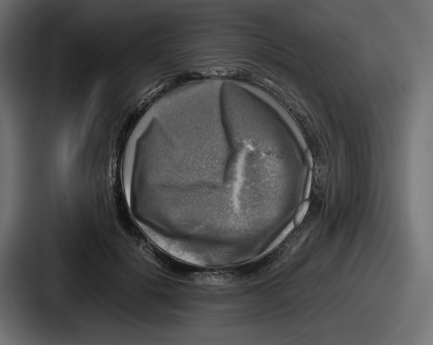 X0000086760652200705111716
