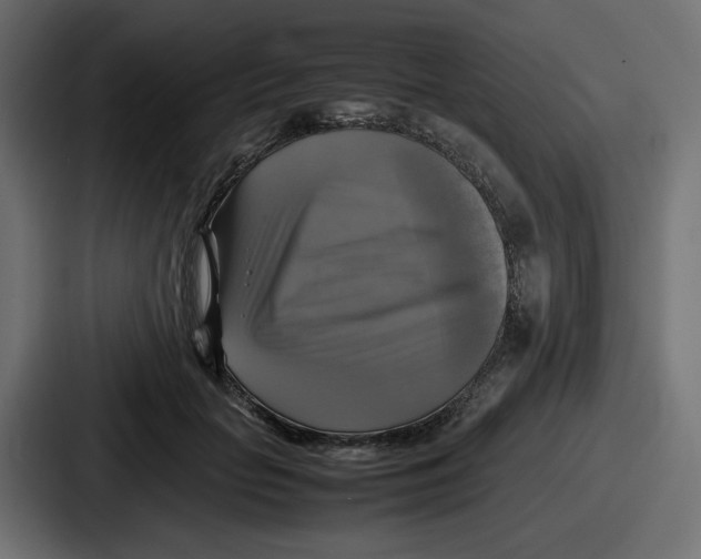 X0000086760653200705111716