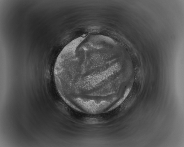 X0000086760655200705111716