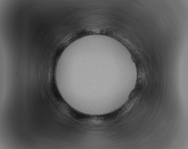 X0000086760656200705111716