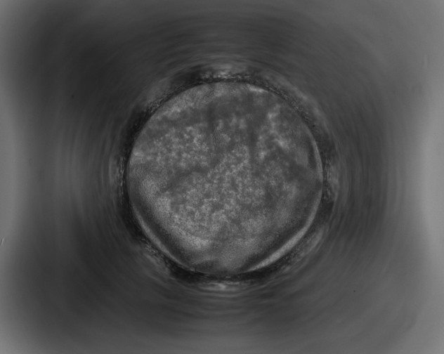 X0000086760657200705111716