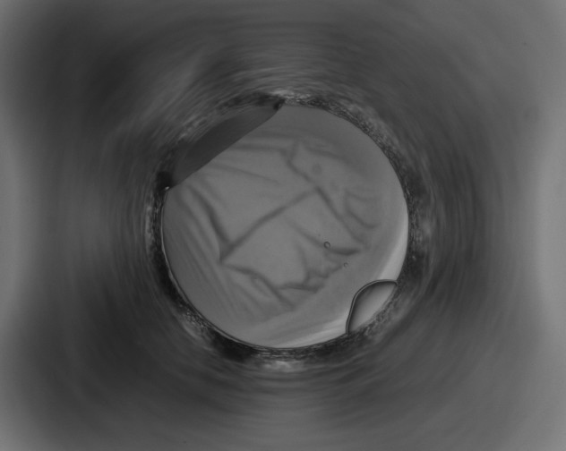 X0000086760658200705111716