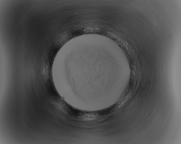 X0000086760659200705111716
