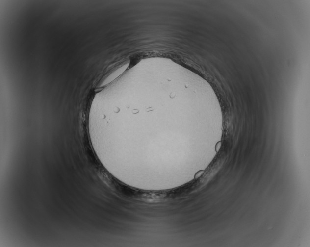 X0000086760660200705111716