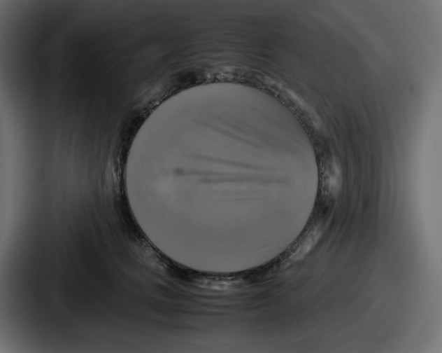 X0000086760661200705111716