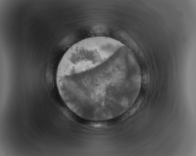 X0000086760662200705111716
