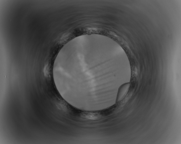 X0000086760663200705111716