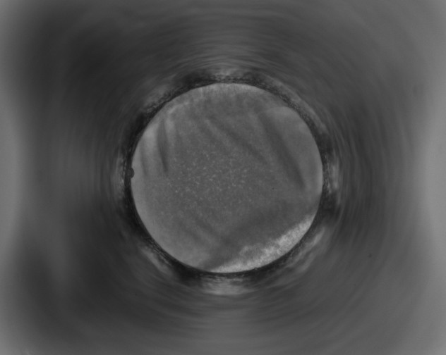 X0000086760664200705111716